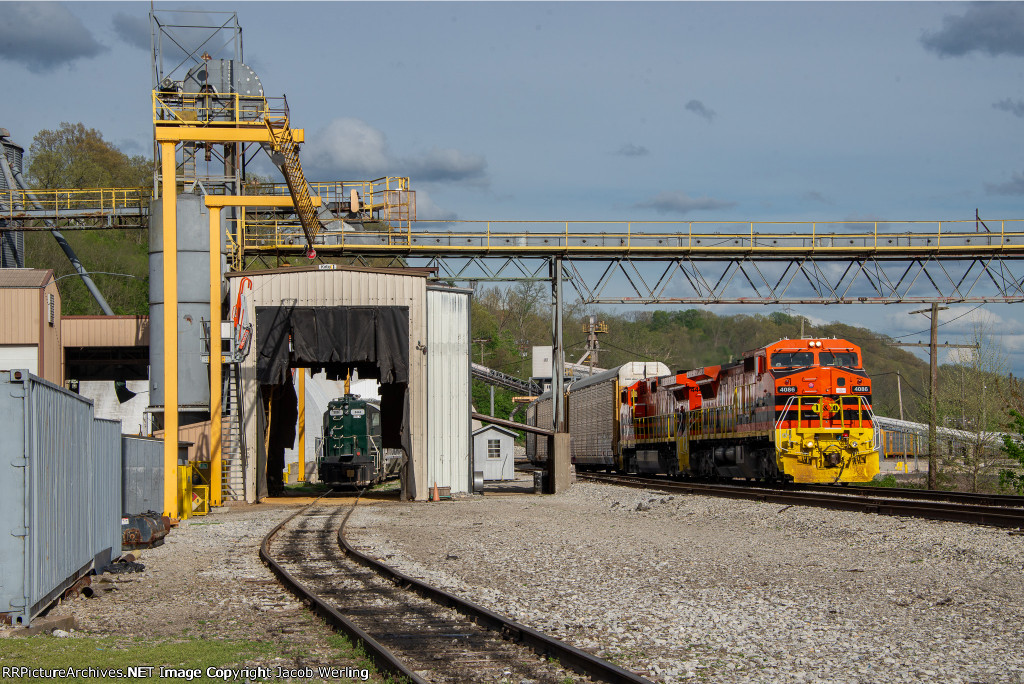 IORY 4086 and MALX 4444